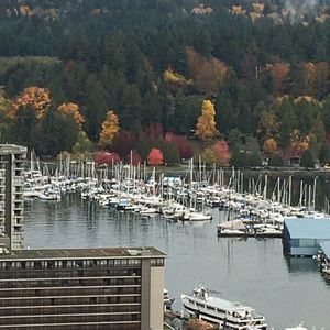 Meet your Posher, Shohreh